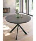 Table ronde 1m20 COLZA