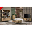 Meuble TV Hifi 1 porte longueur 118 cm - LAGON