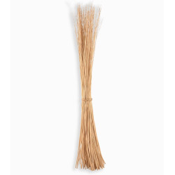 Fagot branches de saule séchés DECO CASITA